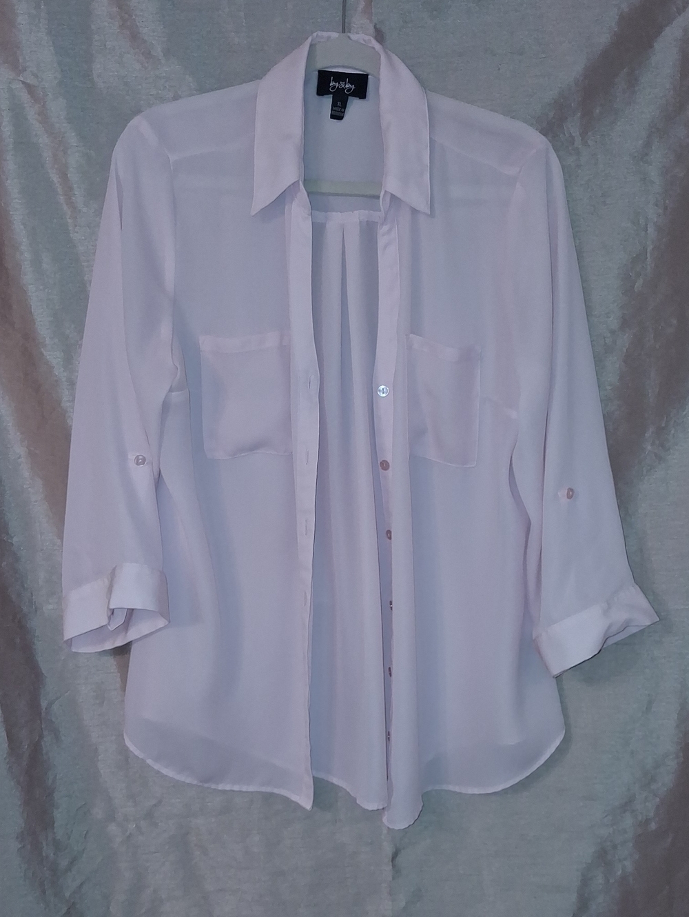 by & by Pale Pink Sheer Button-Down Shirt